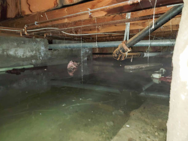 Best Basement water damage restoration  in Dayton, TX