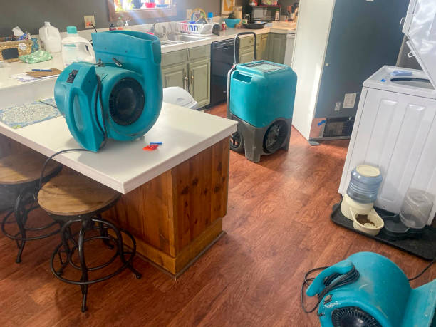 Best Water damage cleanup near me  in Dayton, TX