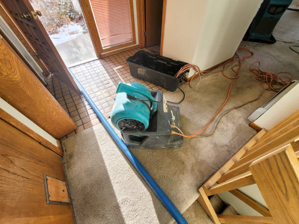 Best 24/7 water damage repair  in Dayton, TX