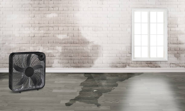 Water damage restoration experts in Dayton, TX